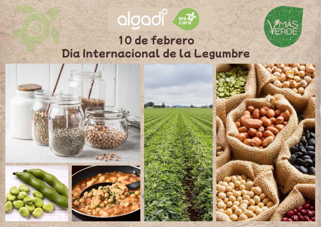 JORNADAS GASTRONÓMICAS